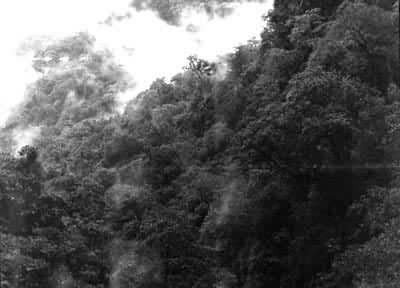 ī�Ѹ�ԭ�ȴ����־���