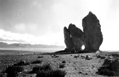 ��ԭ������ľ��