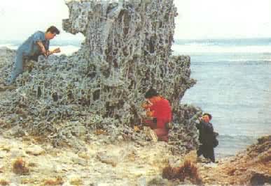 �Ϻ�ɺ������������