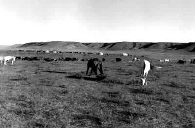 ���ֹ��պ����ǵ��Ͳ�ԭ��������̨�ؾ���