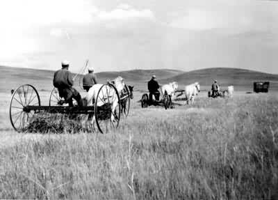 ��ԭ������