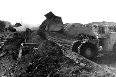 ���ֺ�¶��ú��