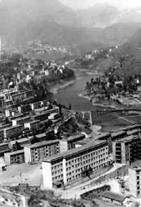 ��ɳ���ϵ���֦����