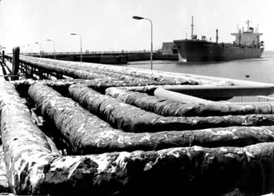 �ػʵ�������ͷ