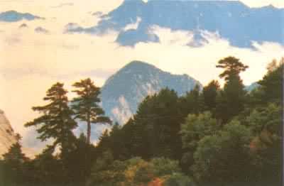 ��Խ����ı�����·