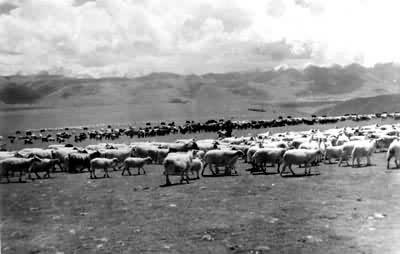 �ر���ԭ����