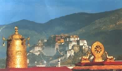 ������������Զ��