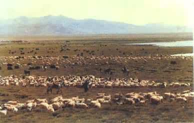 ���������������������ļ�����