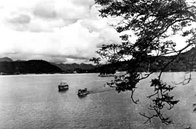 ��Ͷ����̶���