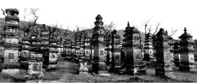 ��ɽ����