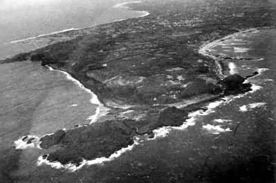 ����е��е�������Զ��