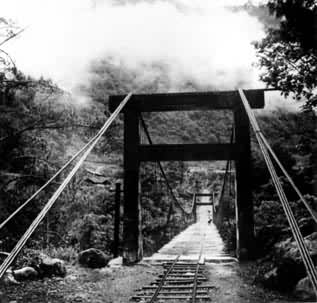 ̨�и�ɽ��������