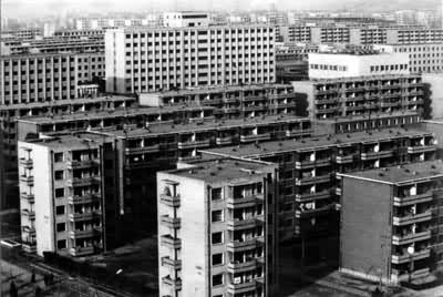 ��ɽ����Ⱥ