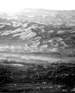 �ڸ���ɳĮ���ƹ�ȵ�����