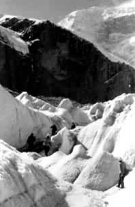 ��ľ���������