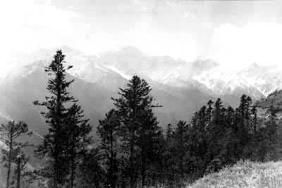 ������Ȼ���������