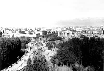 ��³ľ����Զ��