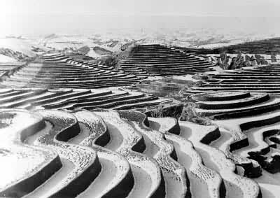 �޶������������������