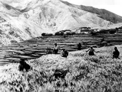 ������������