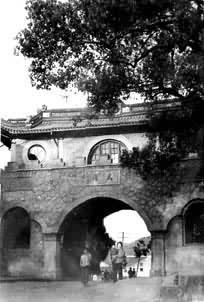 Ϫ����������