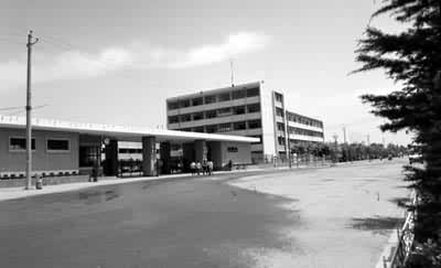 ������ɫ����ܳ�