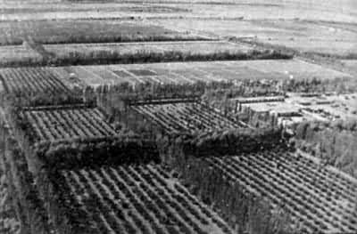 ʯ���ӿ����������޼���������