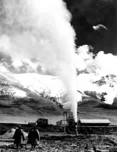 ��˾�����