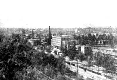 ����ɽ�µ�����������