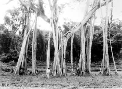 ��˫�����ȴ������еĴ�����