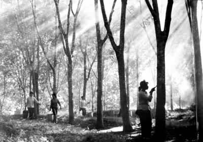 �����ϴ������������