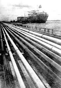 տ����������ͷ