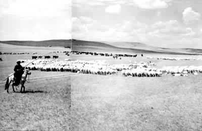 ���ɹŸ�ԭ�ݳ�