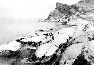 ̨�嵺���Һ���