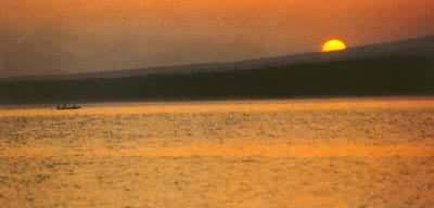 �����ｭ�ճ�