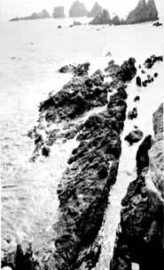 ���������Ļ��Һ���