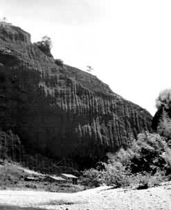 ����ɽ��ɹ���ҡ�