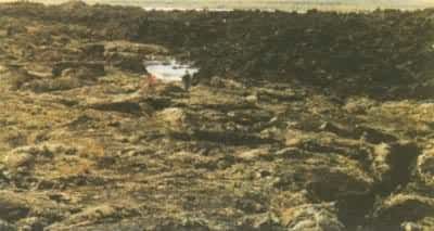 ������ػ�ɽ���Һ�����