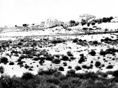 ë����ɳ���ϲ���ͳ�����ַ