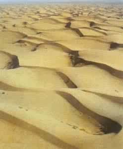 ë����ɳĮ������ɳ����