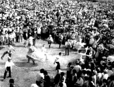 ���ϵ�����������Ľ��ջ