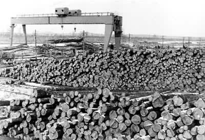 ���˰�����ľ��