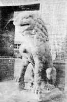 �꾩����ʯʨ