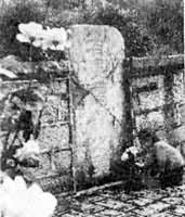 ���ݸ��ͣ��ɣ�Ĺ