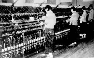 �Ϻ�����ɴ����Ů�����Ͷ�