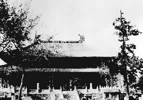 �����ӱ�����