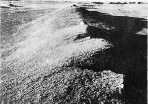 ���ڶ�������ַ�����ɹź��ָ������