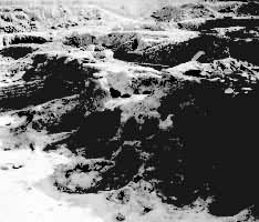 ���Ϲ���������ұ����ַ