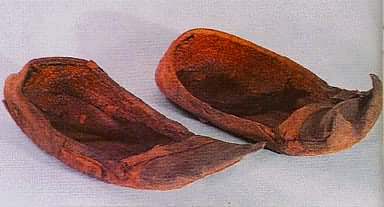 ��˿�� ���ϳ�ɳ�����ѳ���