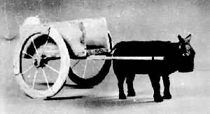 �ʻ�ľţ������������ĥ���ӳ���