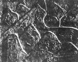 �����γ�����ש���ɶ�����ɽ����